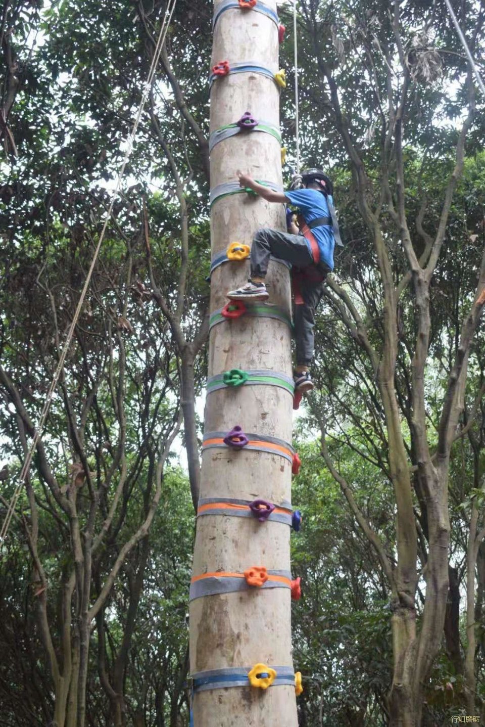 微信图片_20210813184616