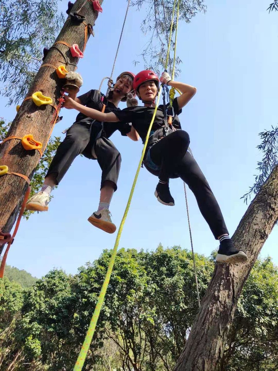 微信图片_202102191410342