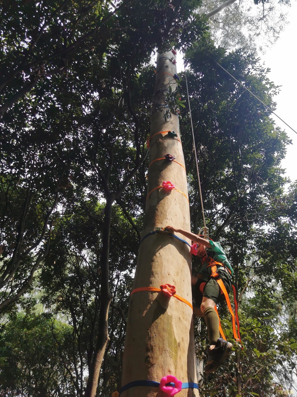 微信图片_202103201616255