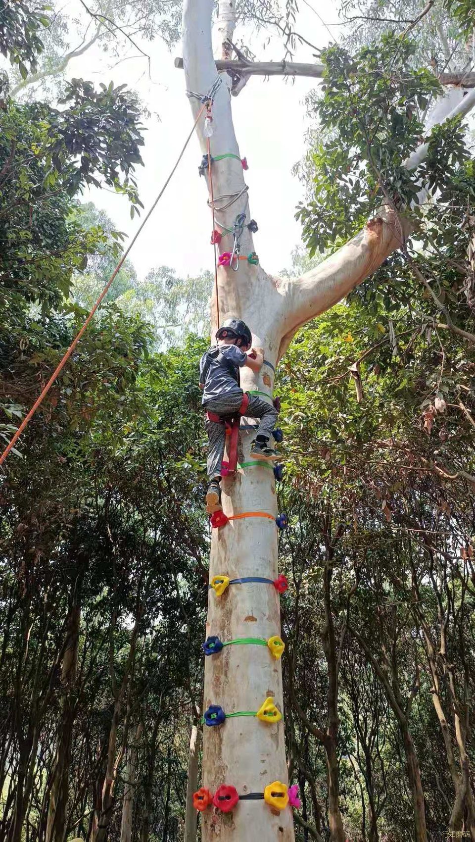 微信图片_202103282038128