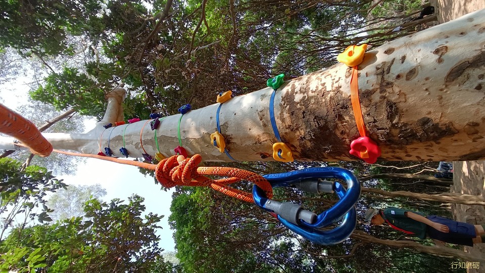 微信图片_2021032016162510