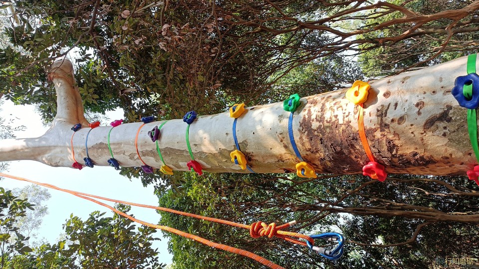 微信图片_2021032016162511