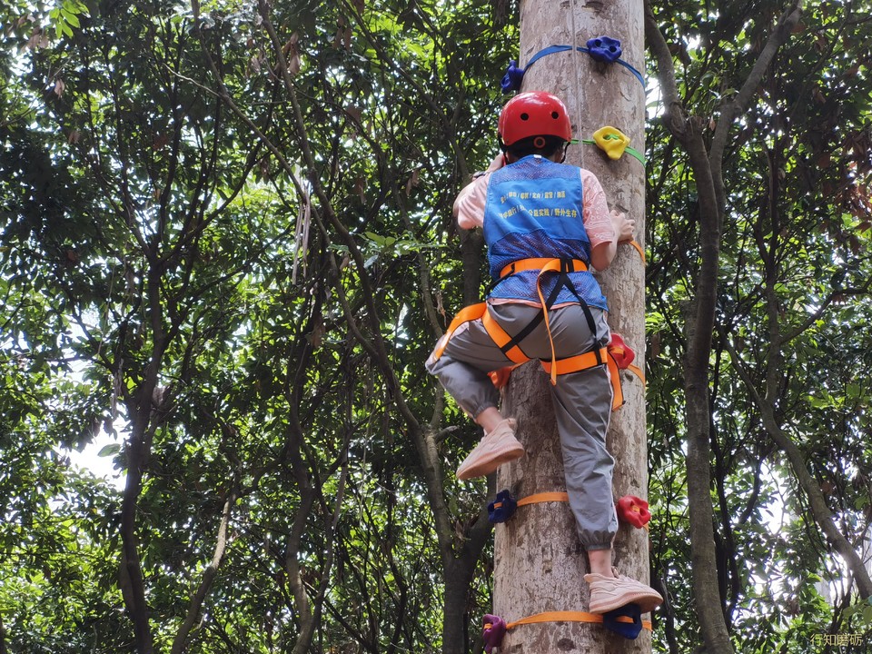 微信图片_20220606135352