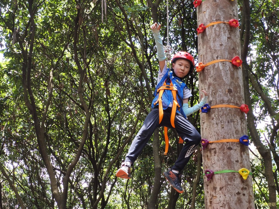 微信图片_20220606135535