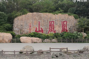 【赛事保障】【5月31日(周日)】深圳登协鲲鹏系列徒步活动保障【凤凰山】