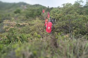 “魔力精英少年”体验营计划