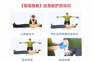 【第29期】《现场急救》急救证书培训班【9月12日～周六】