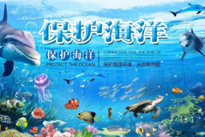 【10月23日上午】七星湾游艇会-海洋环保宣传-志愿者招募