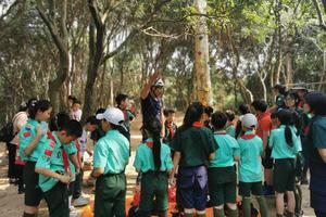 【5月14、15日】青少年攀树活动（初、中级攀树体验）山野户外【素质教育课程】