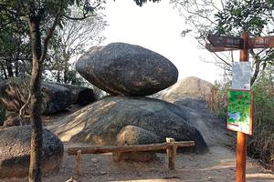 【梅林后山】山野无痕--公益活动（8月27日-周六）