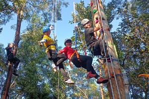 3.8女神节，攀树、攀岩女生们免费哦。