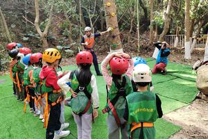 【每周六/日】攀树系列综合素质训练活动报名