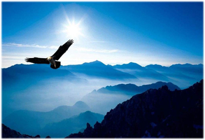 【户外培训】 第48期深圳登协丨山鹰户外培训体系一星&二星户外培训班【8月19日开班】