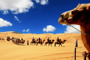 奔跑吧少年！2025“营动中国” 全国青少年巴丹吉林沙漠主题夏令营报名