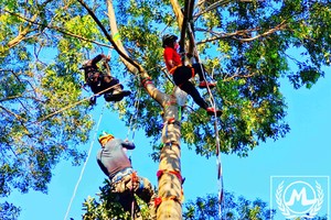 【十一假期】青少年•攀树系列•综合素质训练活动报名（鸡公山）