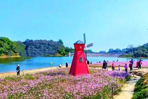 待定【活动保障】【10月19(周日)】广州市南沙区黄山鲁森林公园徒步保障