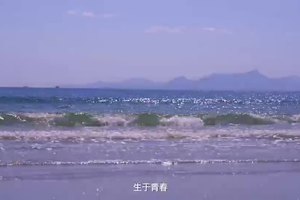 大鹏青年志愿者