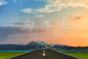 青少年攀树活动