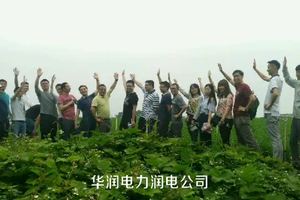 华润电力润电公司松山湖徒步文化行