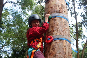 【攀树活动】11月07日（周日）青少年攀树运动系列综合素质活动报名（银湖鸡公山）