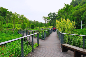 【少青队招新训练】（11月16日周日）甘坑河--平湖生态园徒步活动