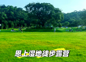 【赛事保障】【12月19日（周五)】盐田恩上湿地公园徒步保障