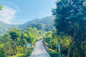 2024-05-26【行知磨砺】鸡公山·山野清洁活动