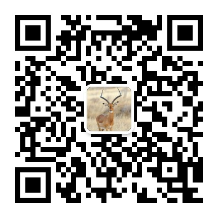 (9)五一假期露营┃5月1-2日惠州原生态海滩露营+生蚝海鲜大餐-户外活动图-驼铃网 (9)五一假期露营┃5月1-2日惠州原生态海滩露营+生蚝海鲜大餐-户外活动图-驼铃网