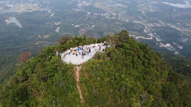 【5月3日 五一档丨中等难度】九龙峰的杜鹃花开啦!