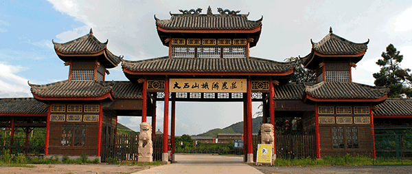 x_264218670.png x_264218670.png