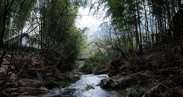 DSC_0266_Pv4Zq8PkJcvL.png DSC_0266_Pv4Zq8PkJcvL.png