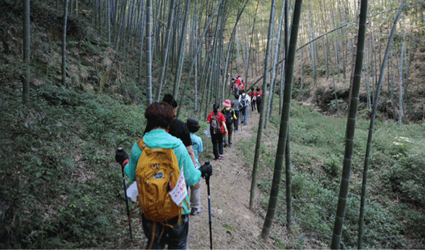 22_9759_d415d9312479d65.png 22_9759_d415d9312479d65.png