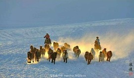 IMG_20170108_203754_ep_slim