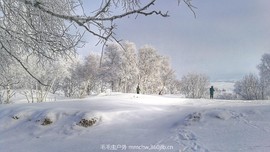 IMG_20170109_090222-01