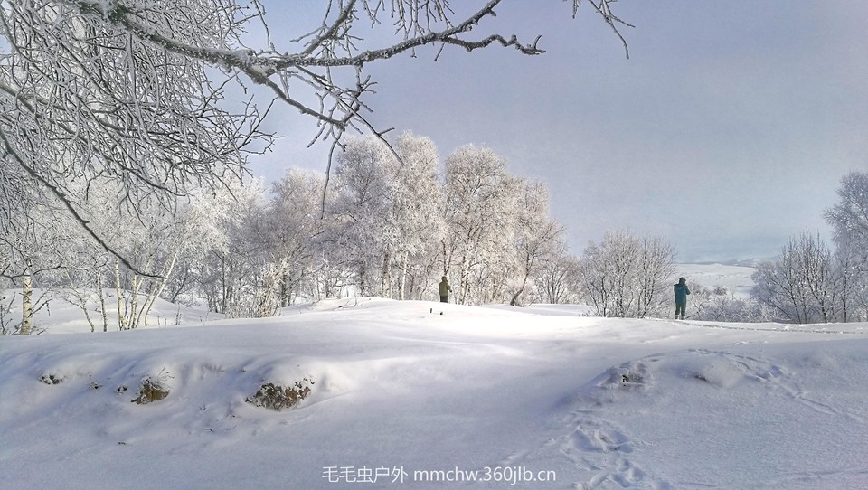 IMG_20170109_090222-01