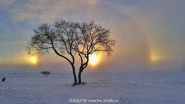 IMG_20170110_080746-01