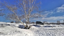 IMG_20170111_102509-01