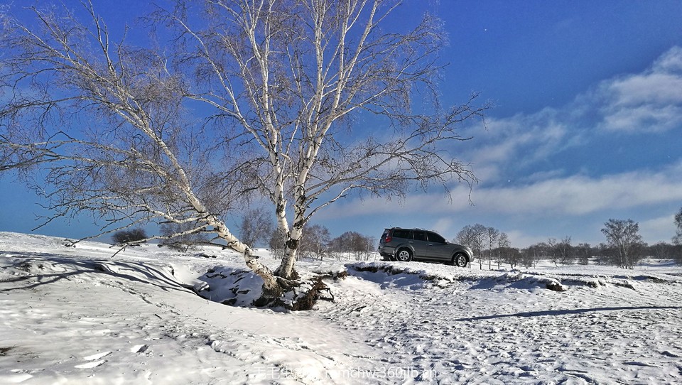 IMG_20170111_102509-01