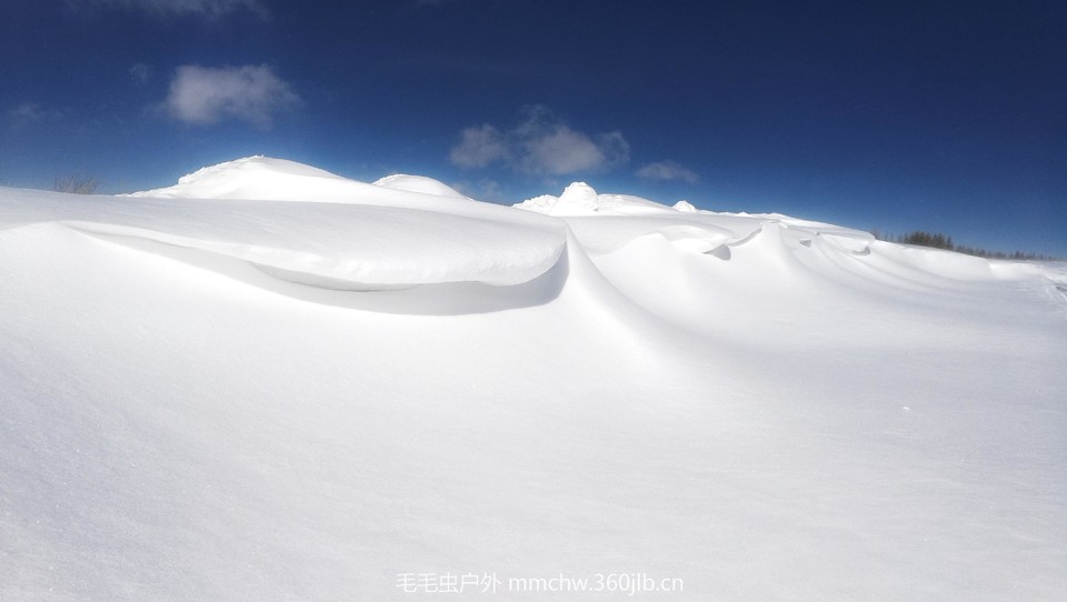 IMG_20170222_123401-01