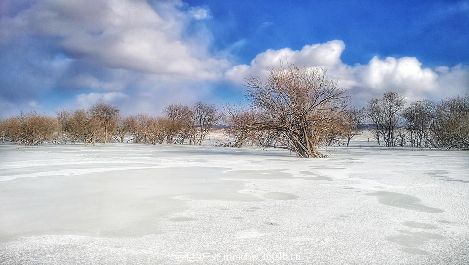 IMG_20180219_152204-01