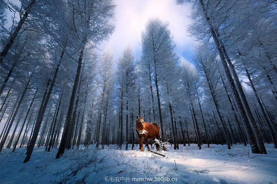 mmexport1481681228869_ep_slim