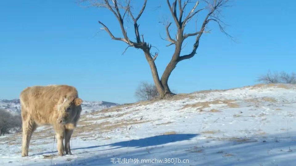 mmexport1482135757382_ep_slim