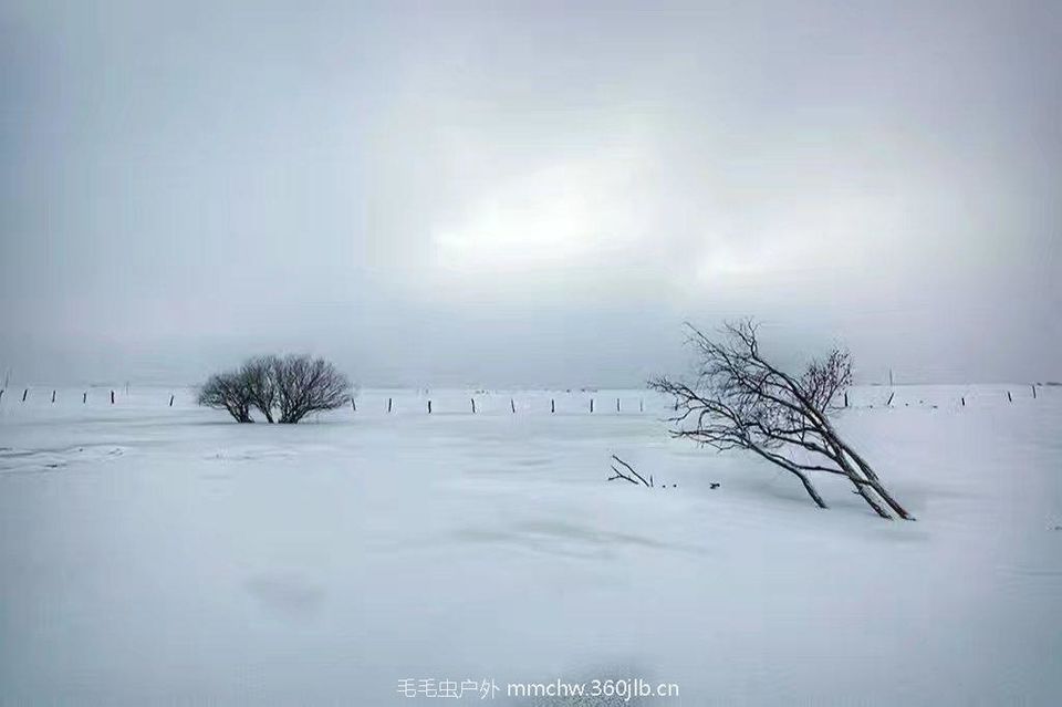 mmexport1486423619675