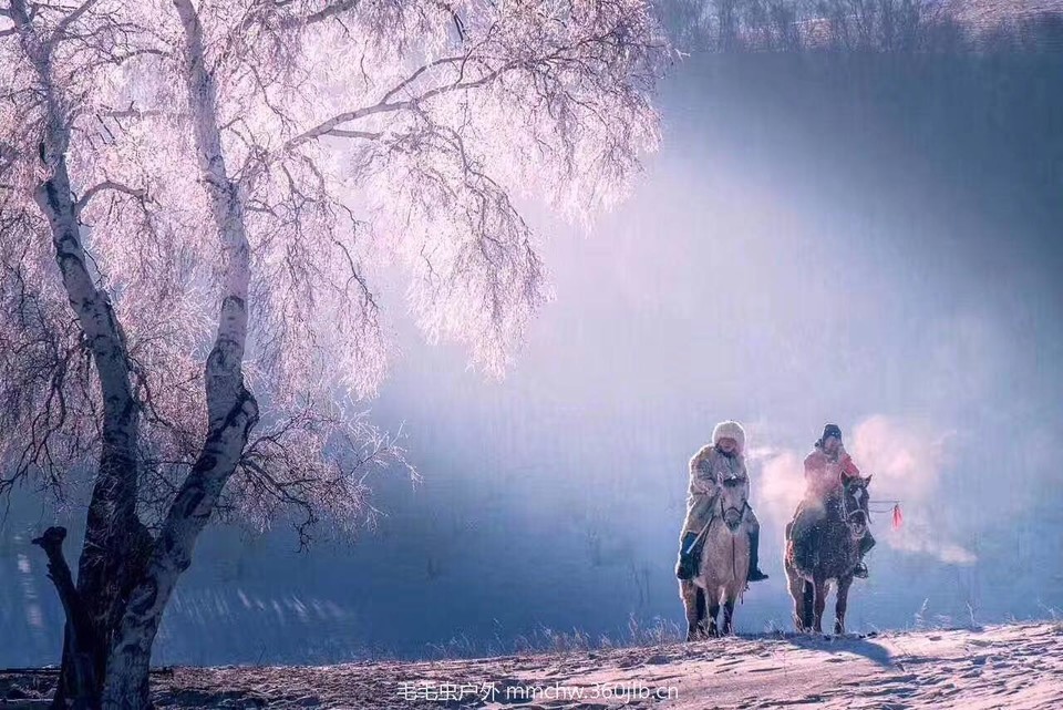 mmexport1516827678181