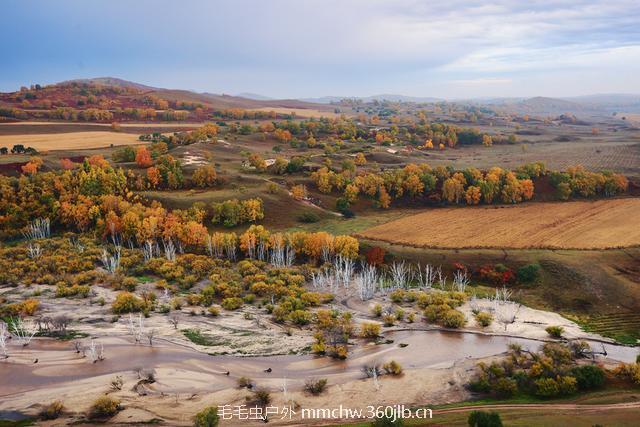 02a036fecede0897eb6537afdacee098