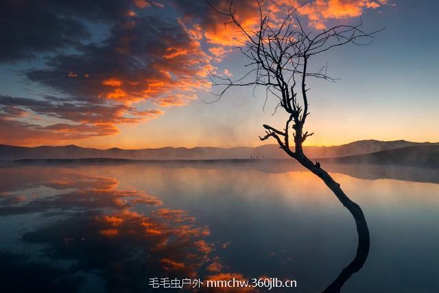 bf5d103209f9e7bea7147be903f8cdbc