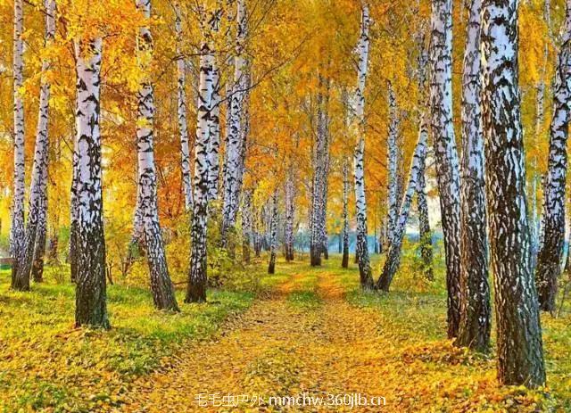 decf2851382a60d5a46ed928786f7710