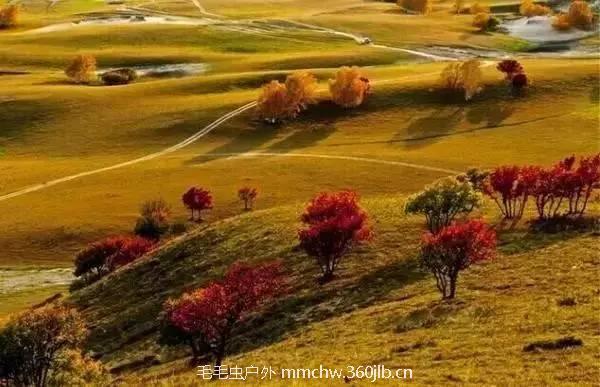 e6b1d7cae7ef61ce751f72368dae253b