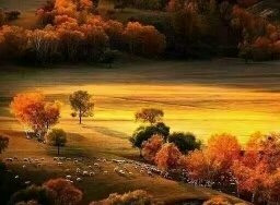 mmexport1475983195169_ep_slim