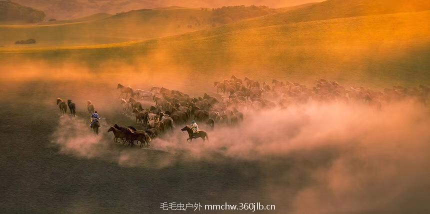 mmexport1502459440673